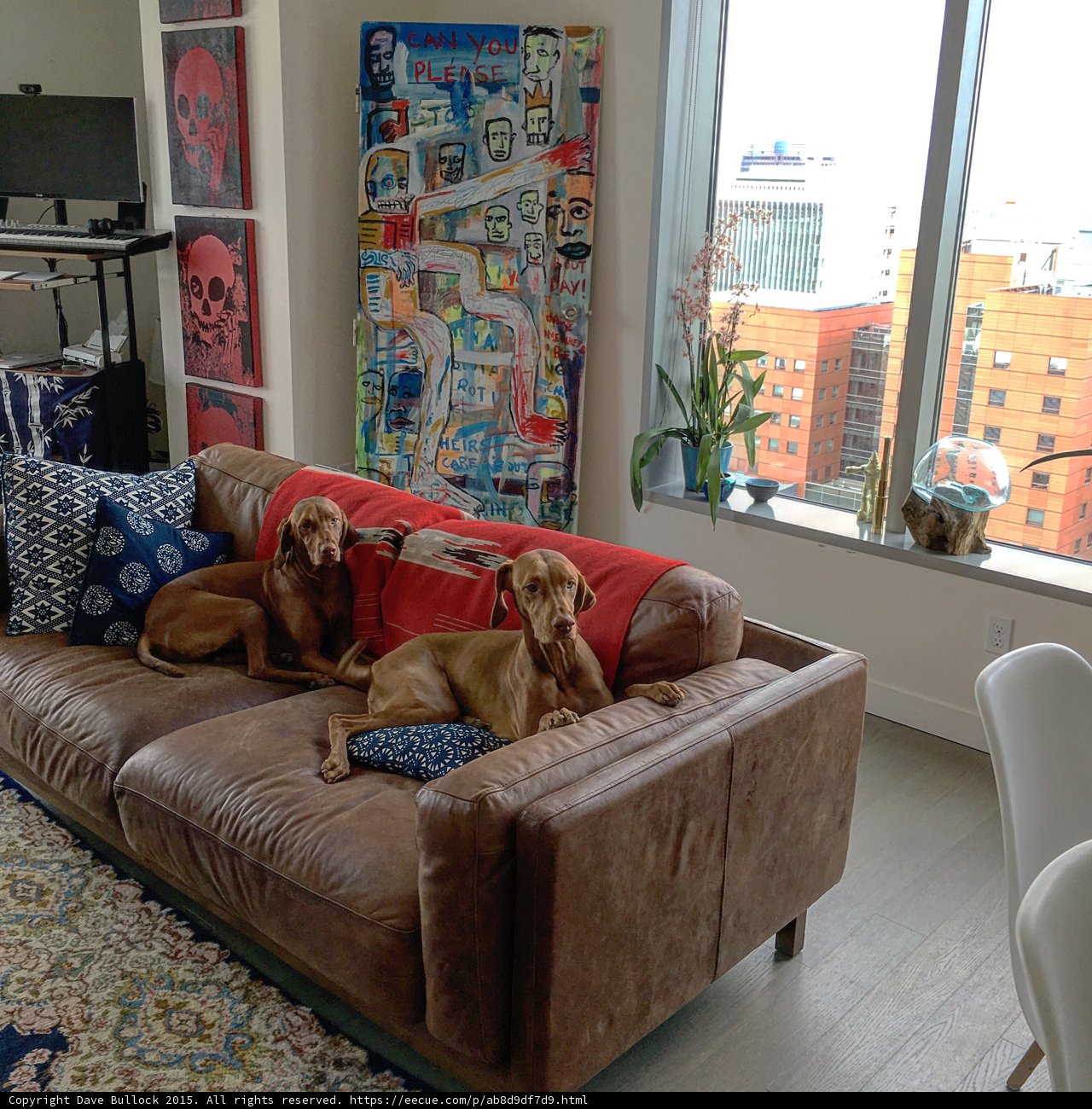 Two Dogs Take Over the Couch