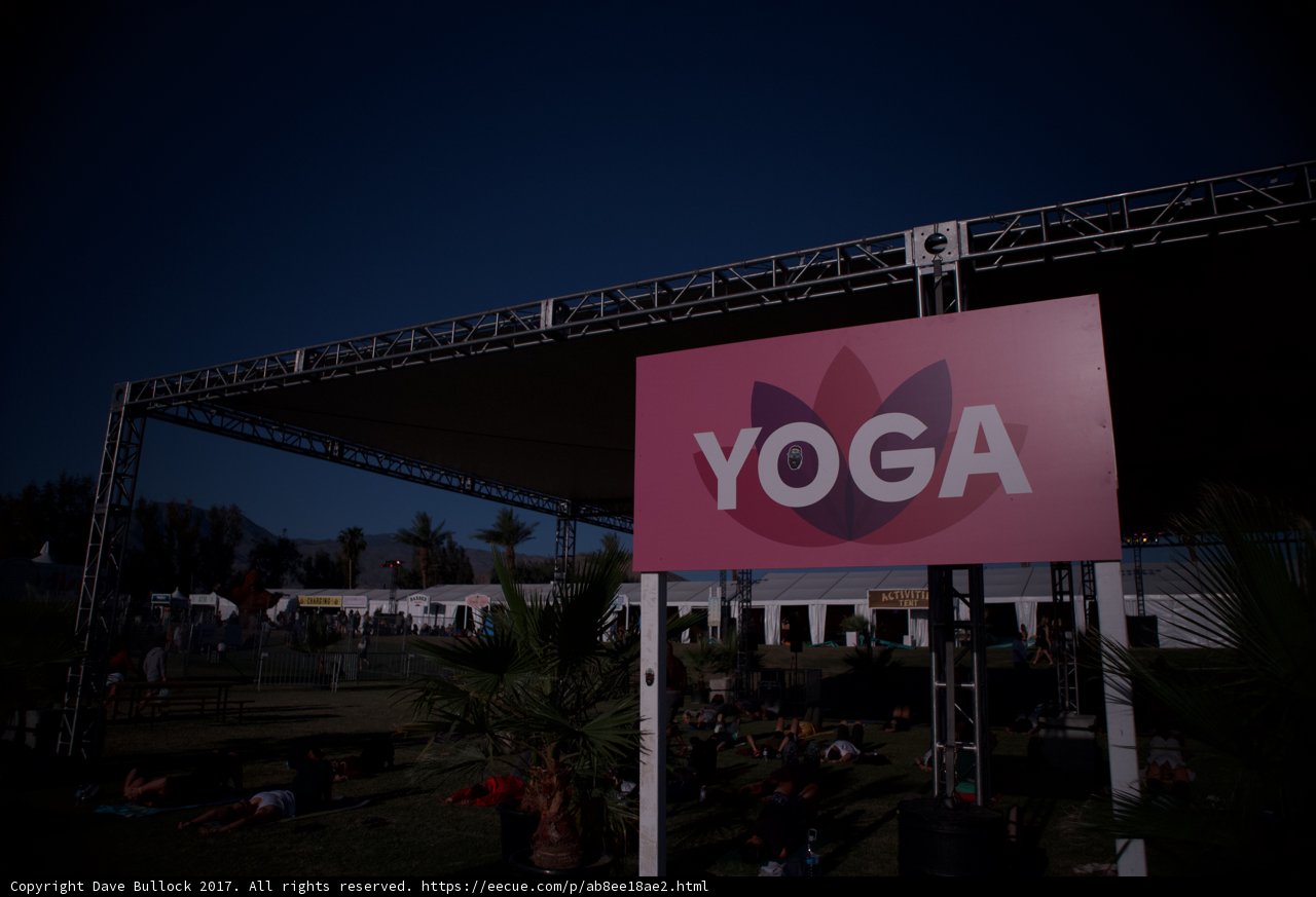 Yoga Sign Amongst Palms and Sky