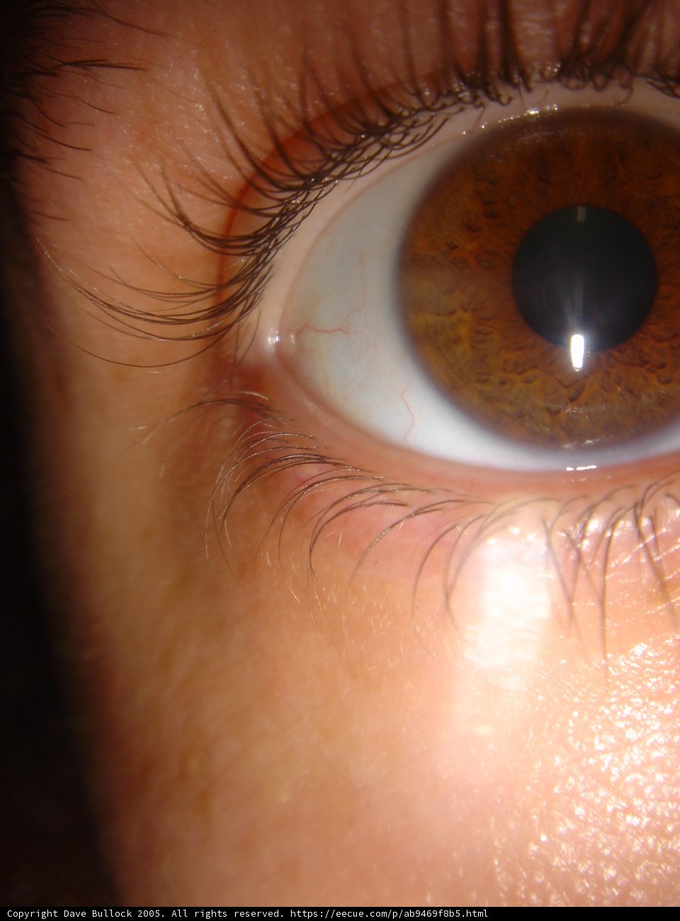 Brown-Eyed Baby