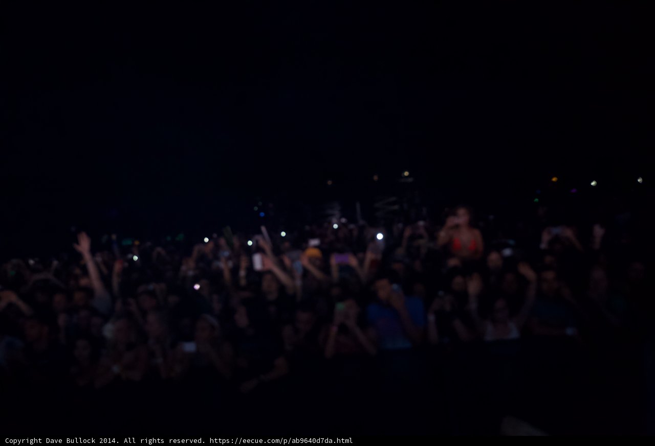 Enraptured Crowd at Coachella