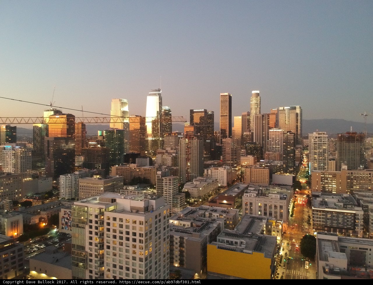High Above LA's Urban Canopy