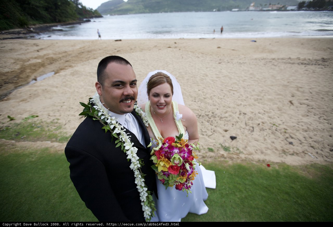 Beach Wedding Bliss