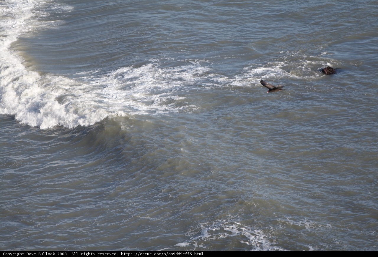 Bird's Eye View of the Sea Wave