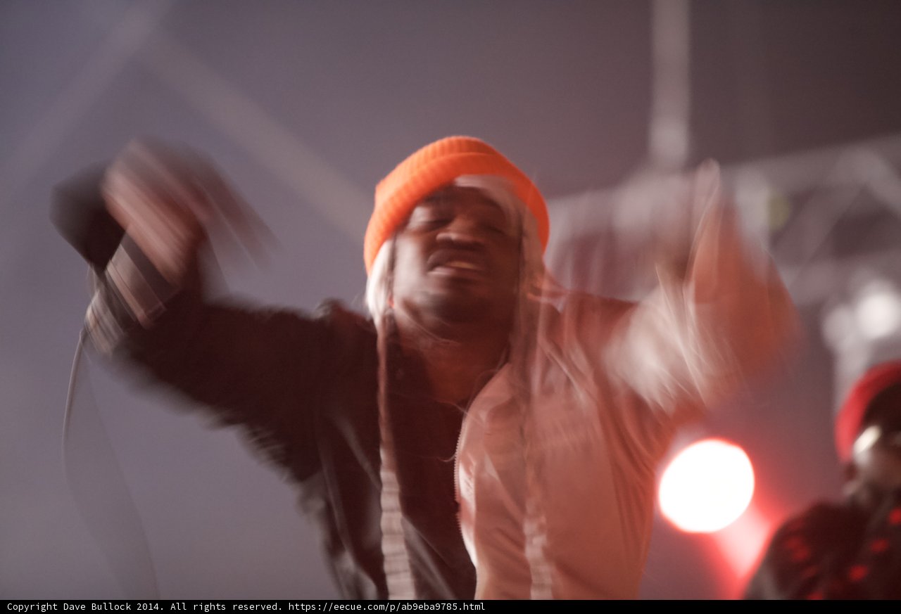 Dance Fever at Coachella
