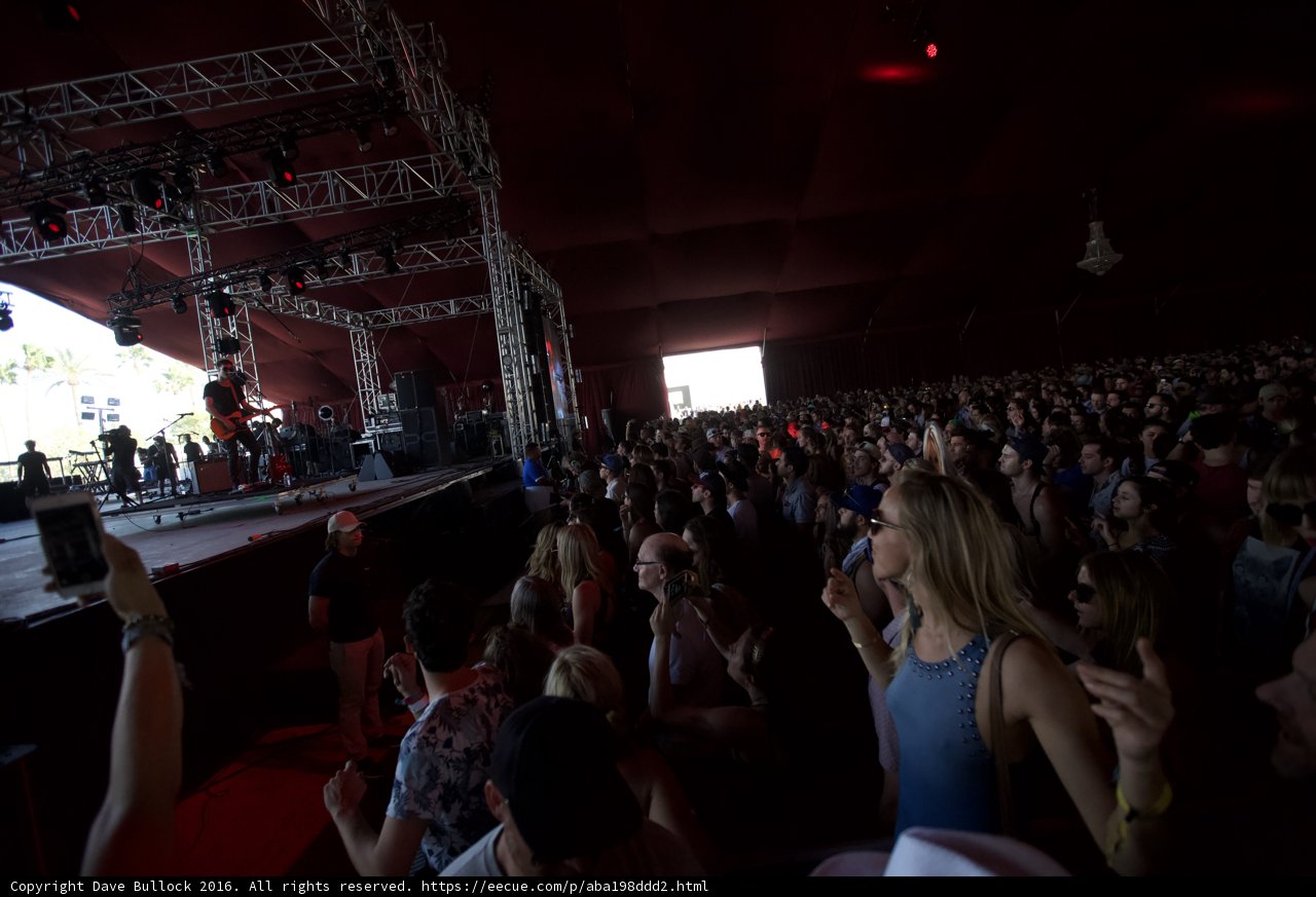 Coachella Concert Crowd