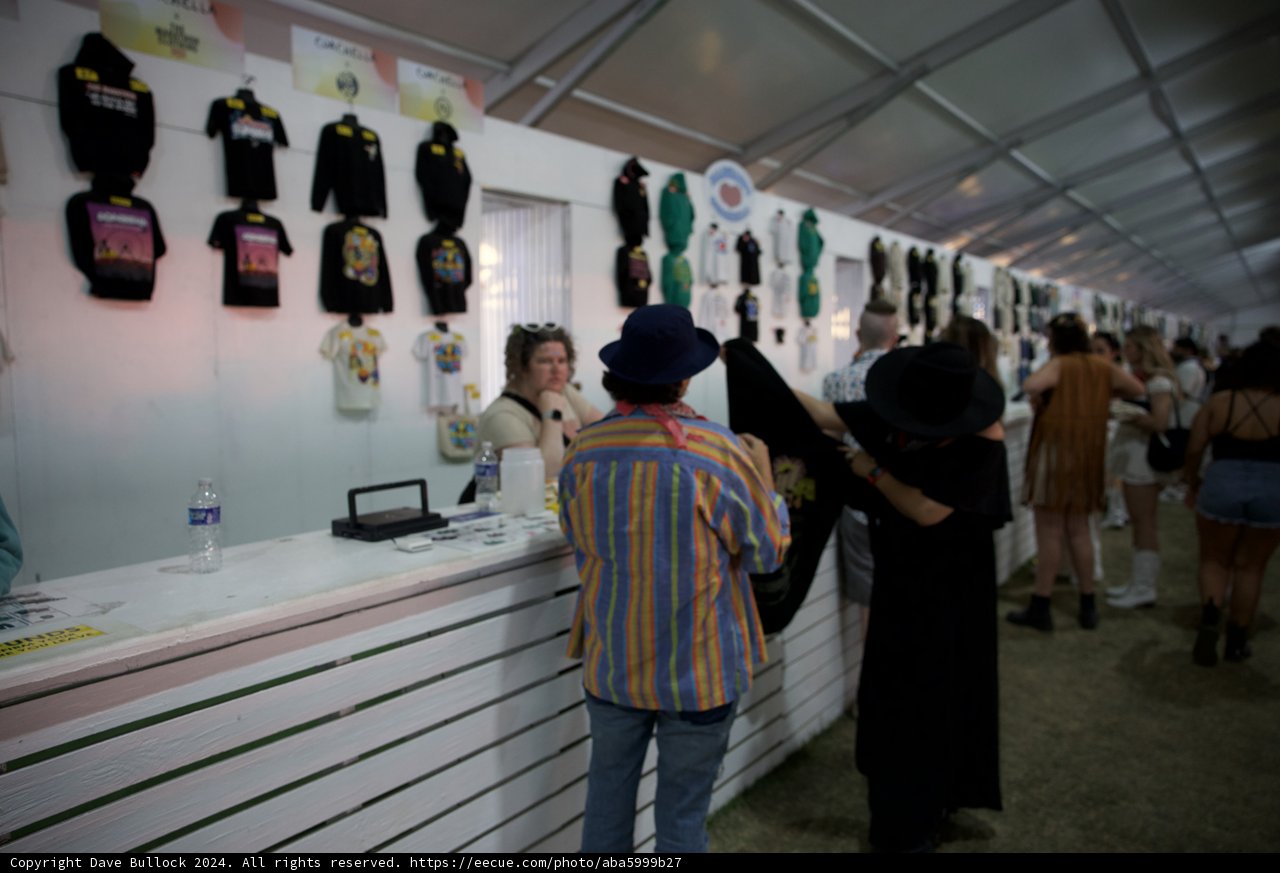 Festival Fashion Frenzy at Coachella 2024