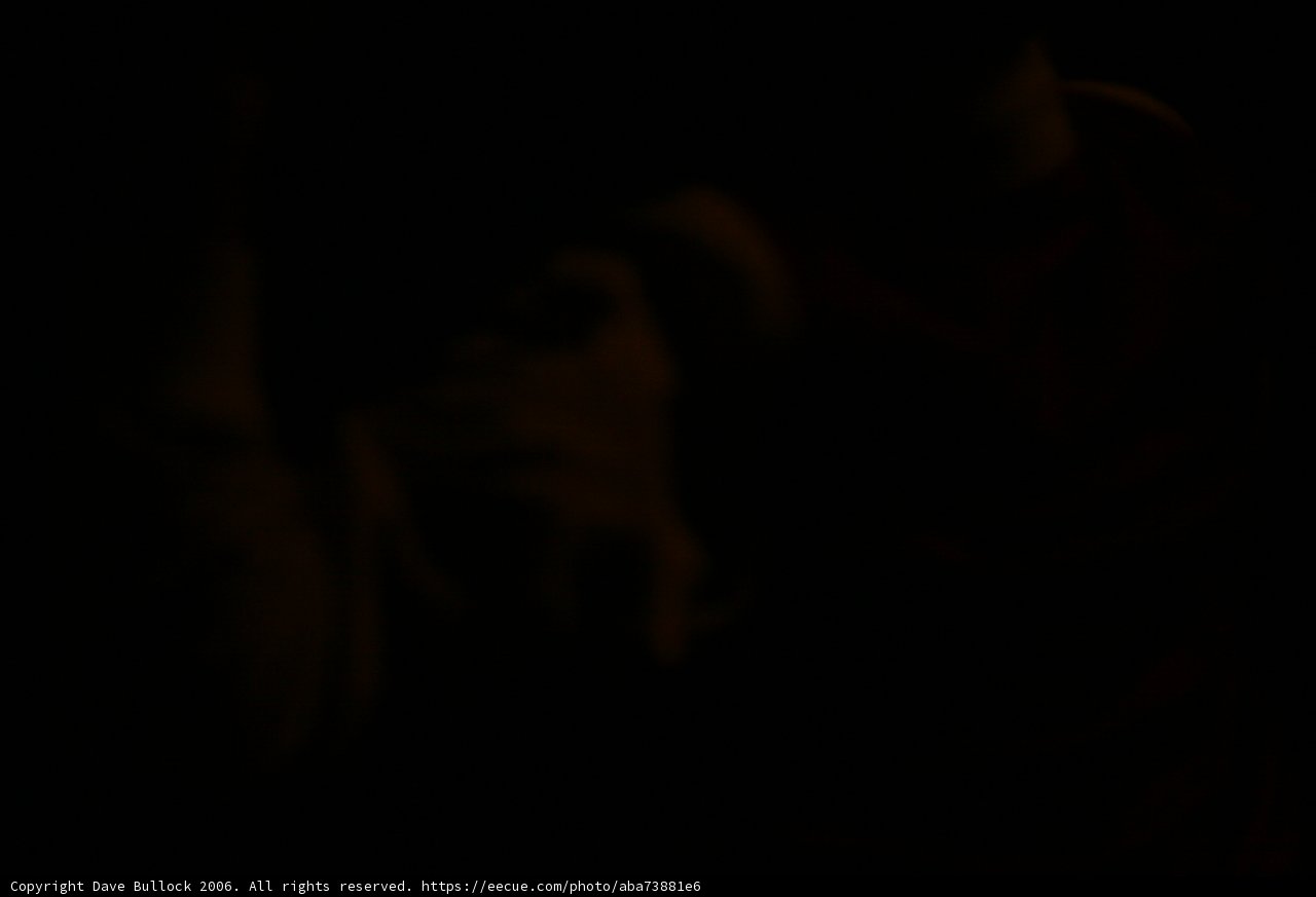 Guiding Light in the Dark