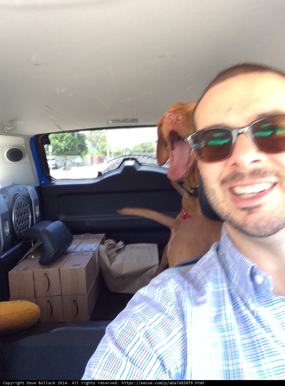 Man and his Furry Co-pilot