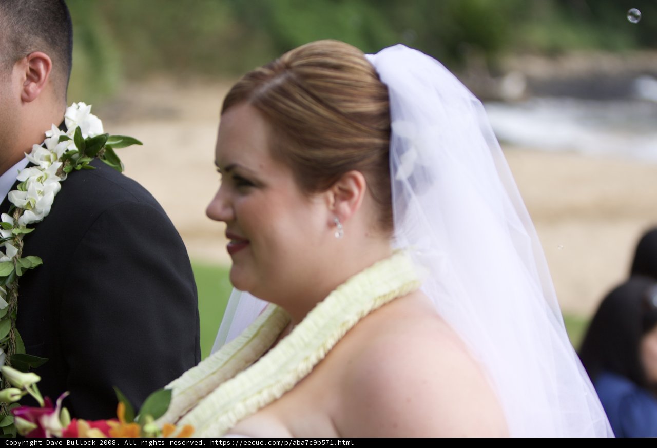 The Lovely Wedding Couple