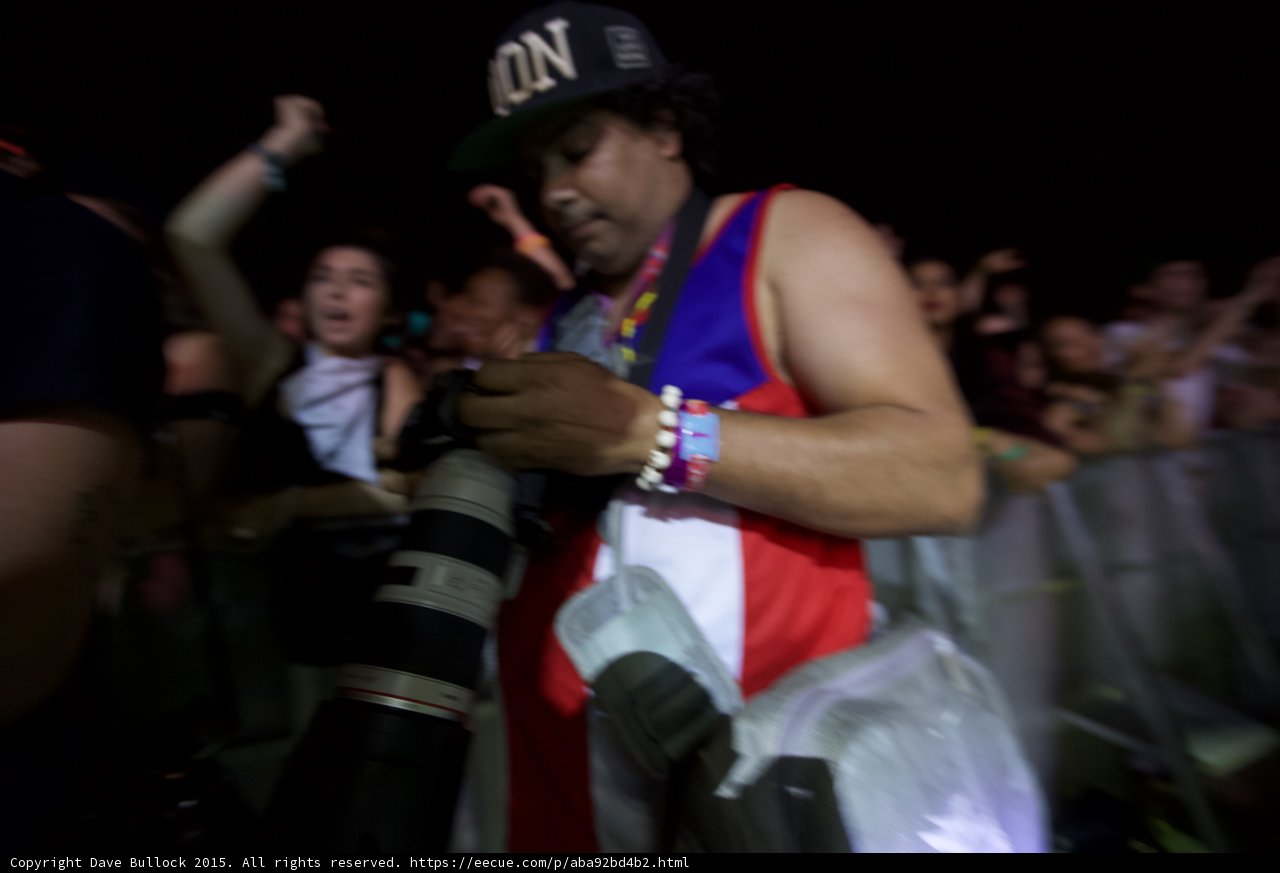 Capturing the Crowd