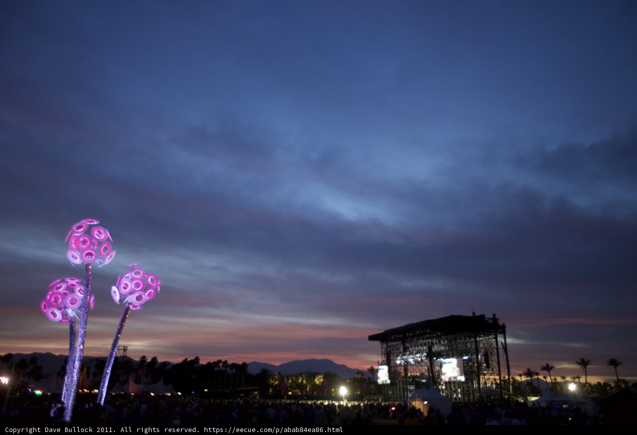 Purple Flower Takes Center Stage