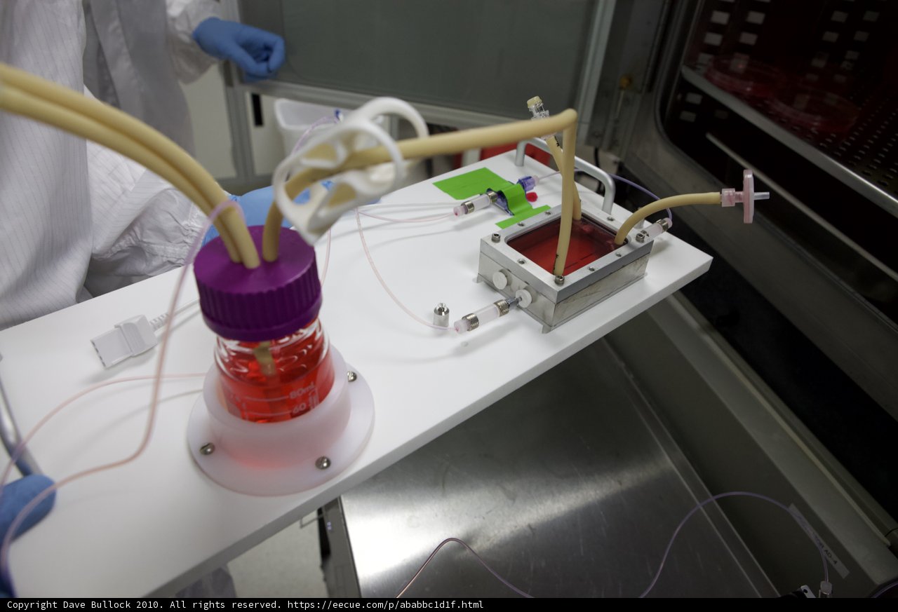 Inventor at Work
