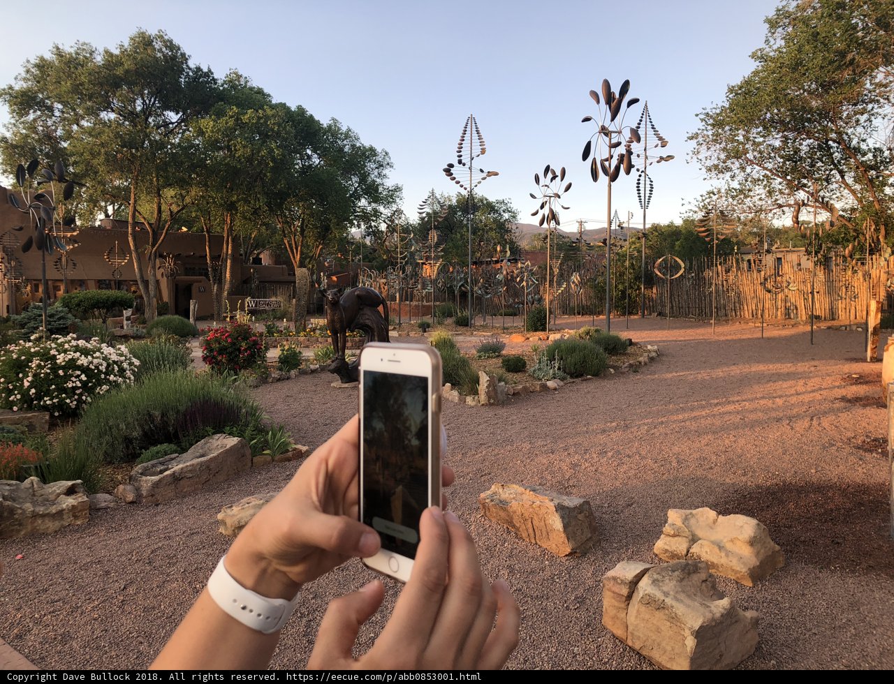 Capturing Nature's Beauty