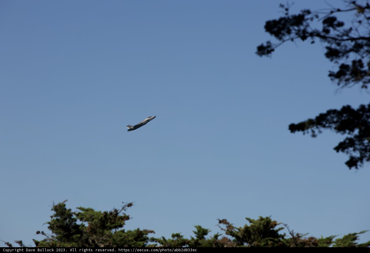 Soaring Over Great Meadow Park