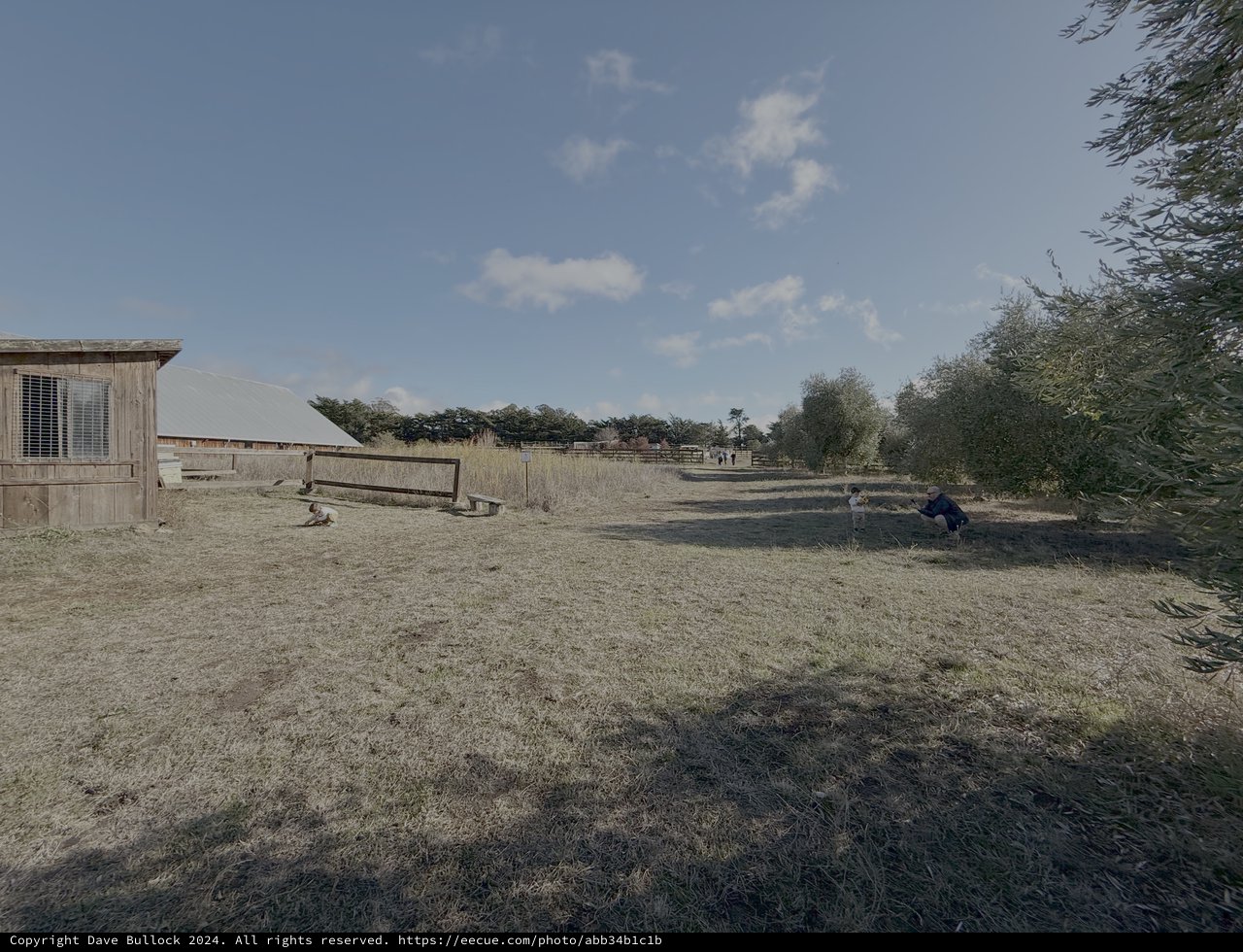 Rural Farm Scene with Children Playing