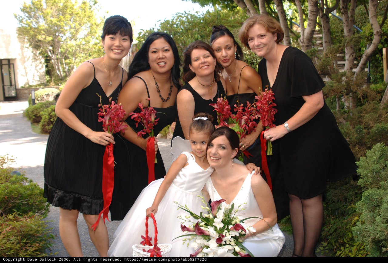Bridal Party Poses in Black Dresses with Red Bouquets