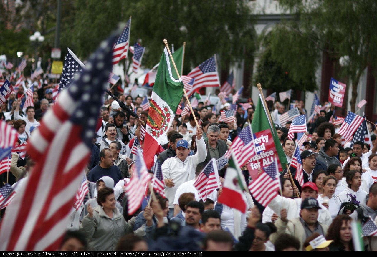 United in Flags