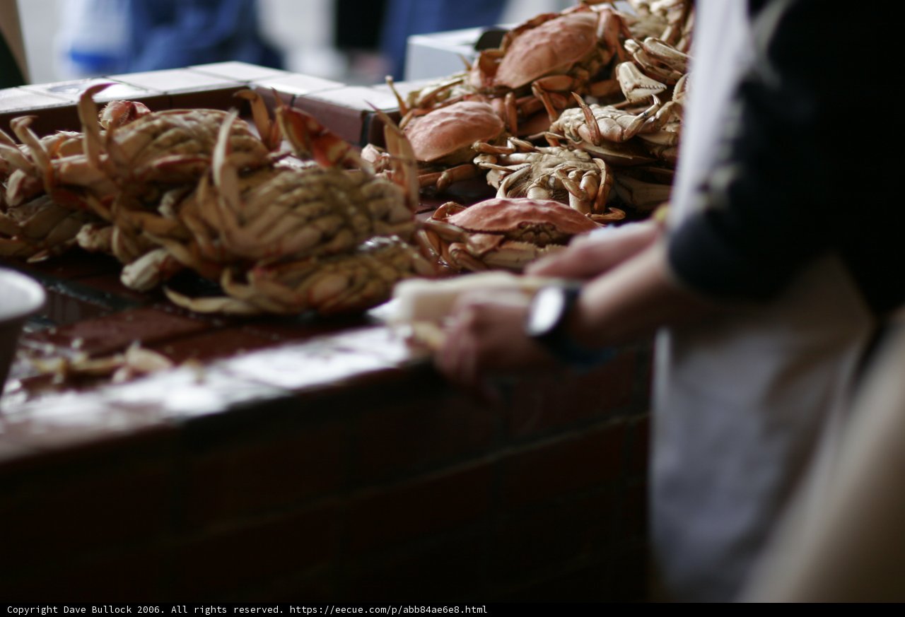 Crab Feast