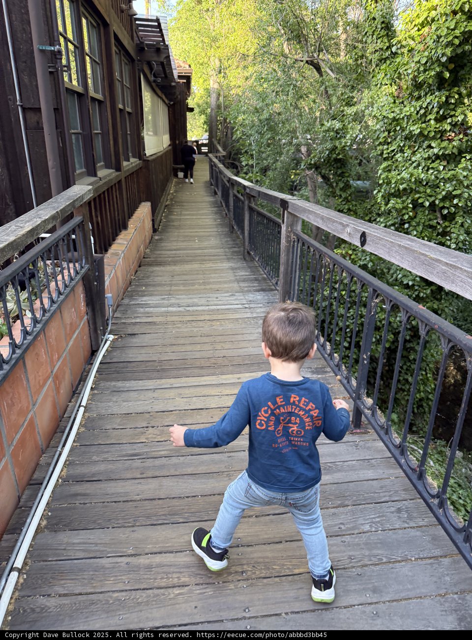 Strolling Through Walnut Creek