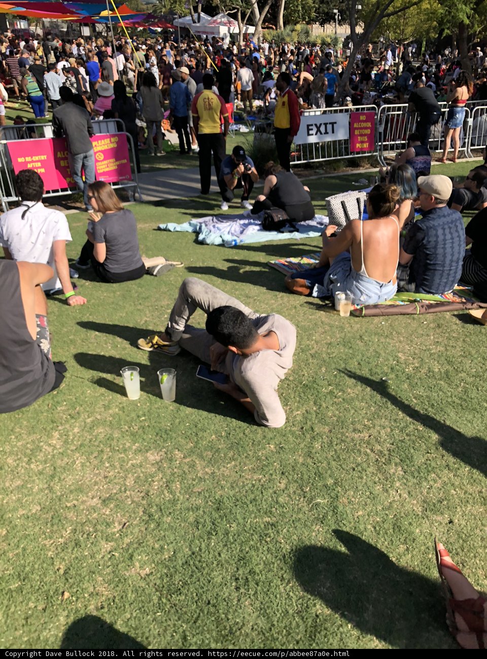 Down on the Grass