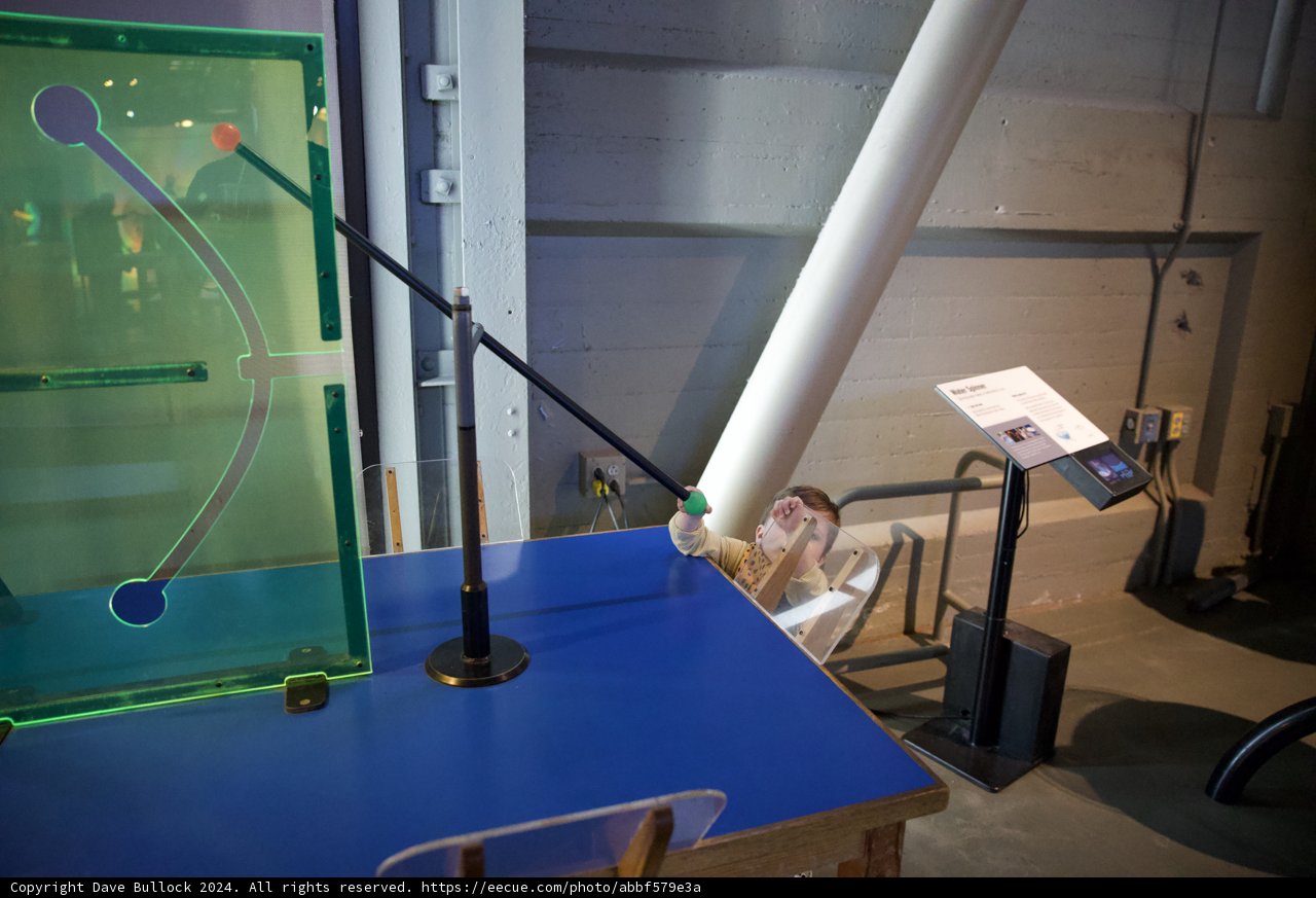 Interactive Ensemble: A Day at Exploratorium, 2024