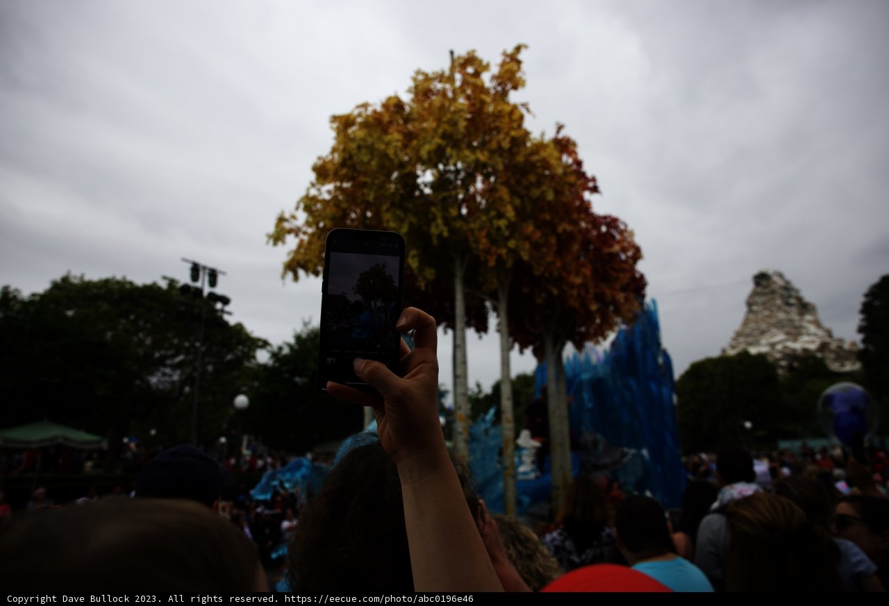 Capturing Memories at Disneyland