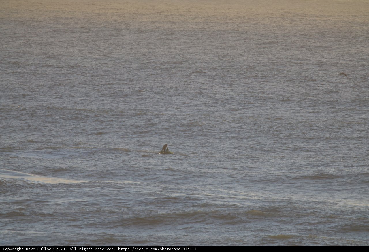 Catching Waves on the Majestic Pacific 2023