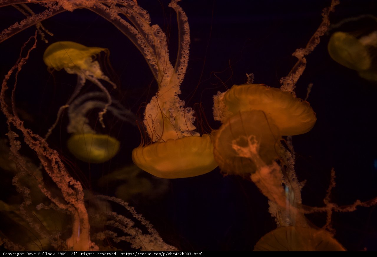 Illuminating the Depths