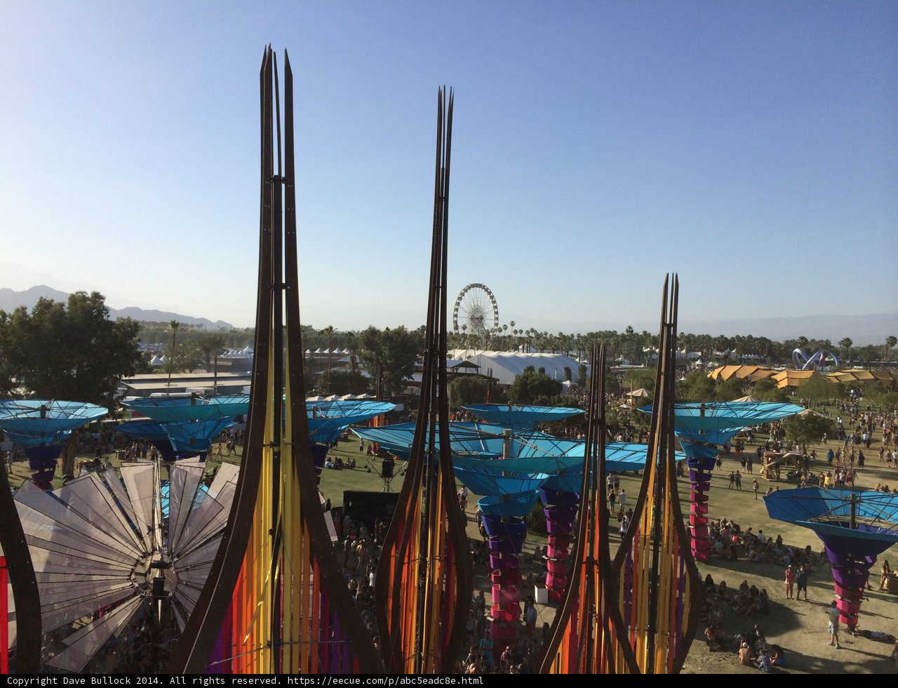 Festival Fun