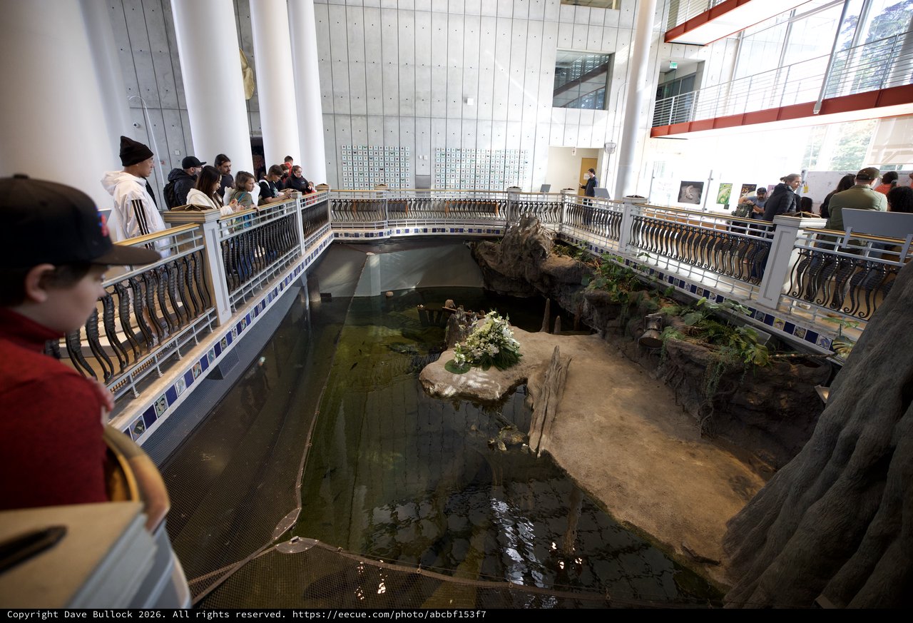 Visitors Observing Indoor Aquatic Habitat Exhibit