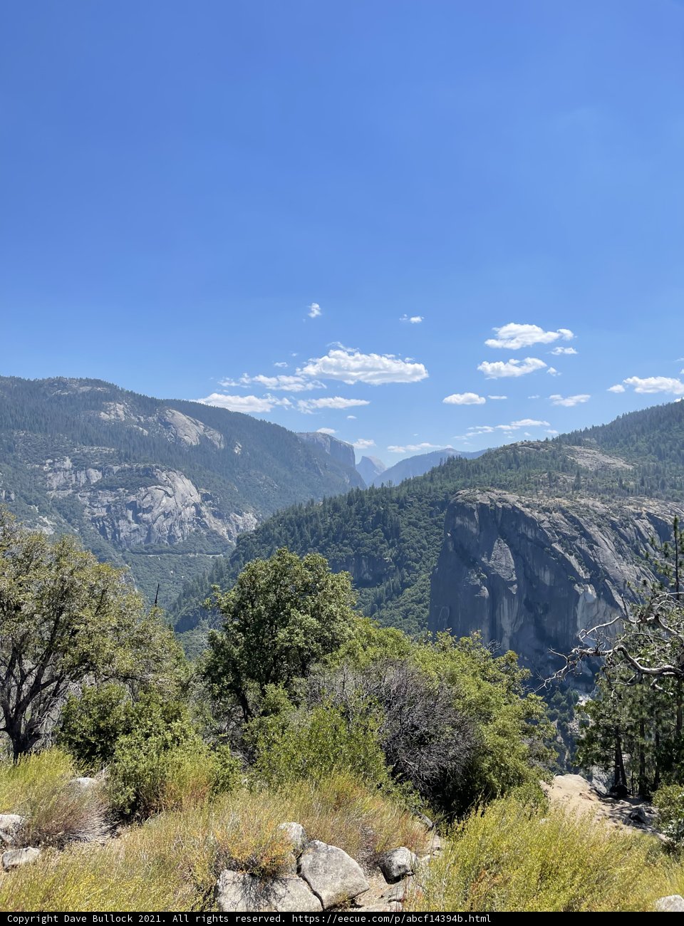 Overlooking the Majestic Yosemite Valley