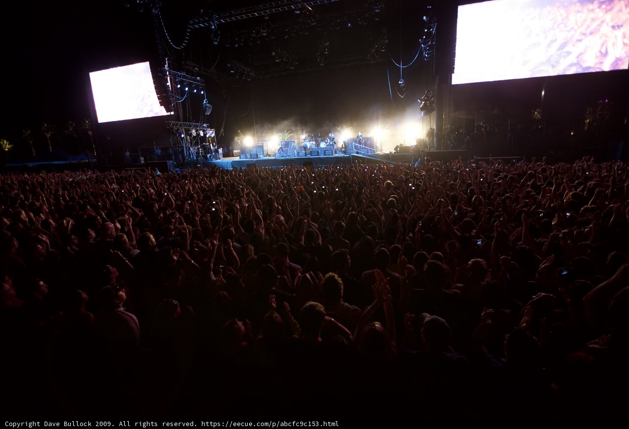 Rocking with the Crowd