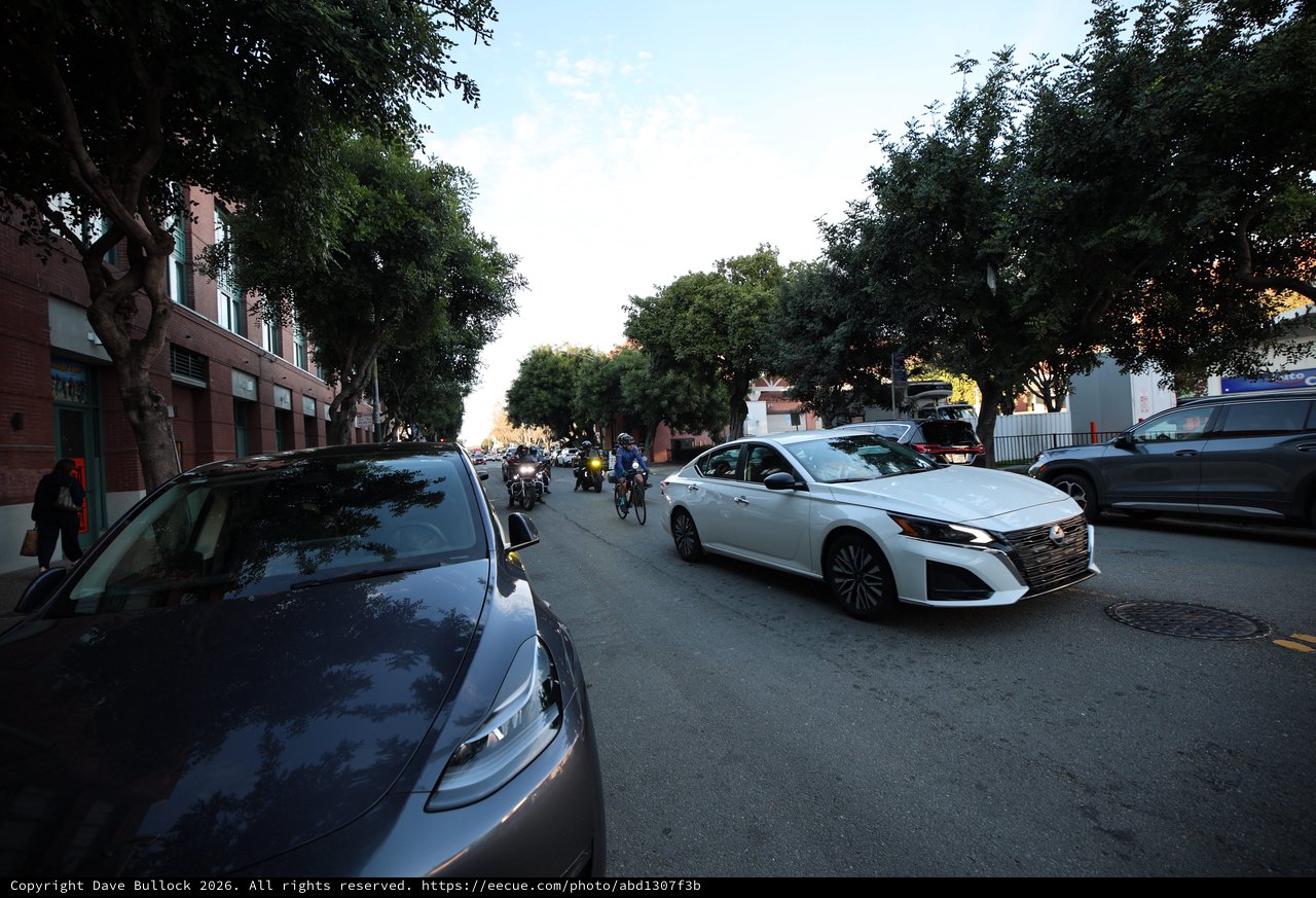 Evening Traffic on Tree-Lined Urban Street