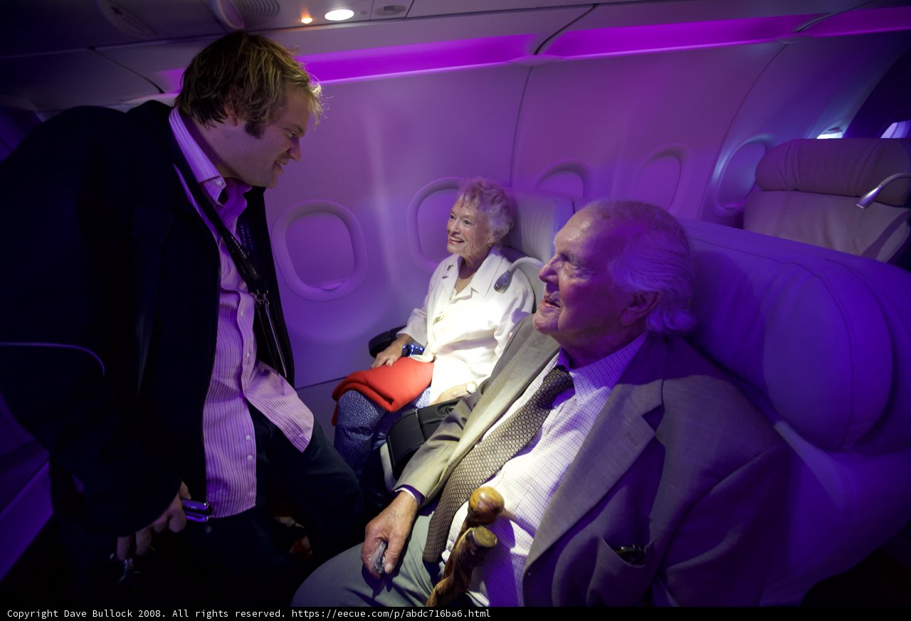A Regal Flight in Purple