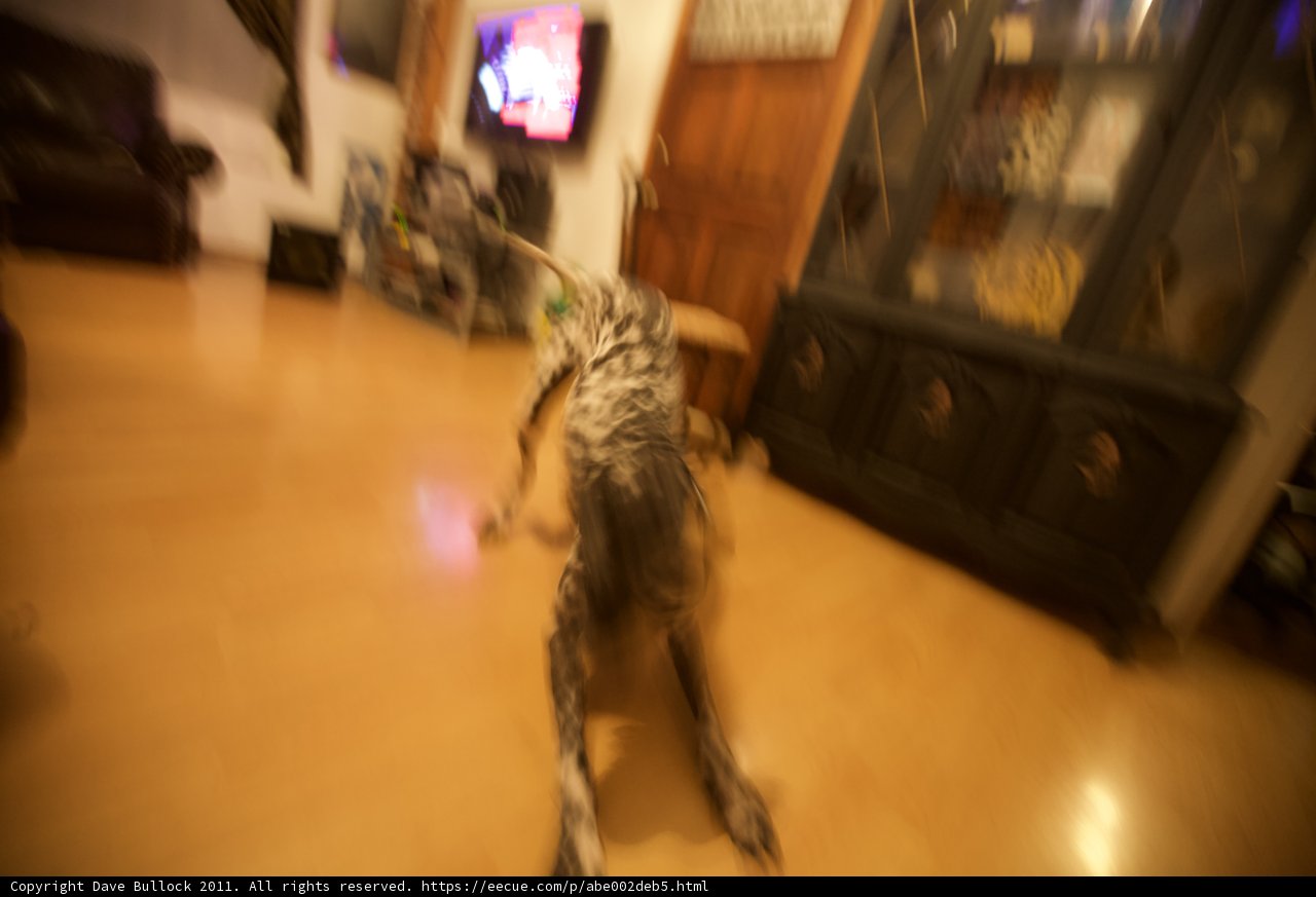 Chaos in the Living Room