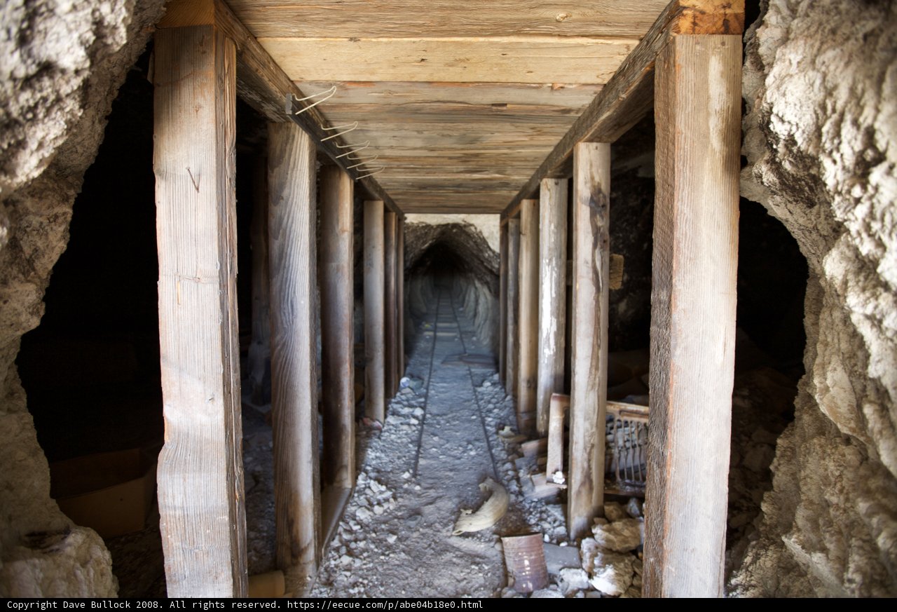 The Enchanted Corridor