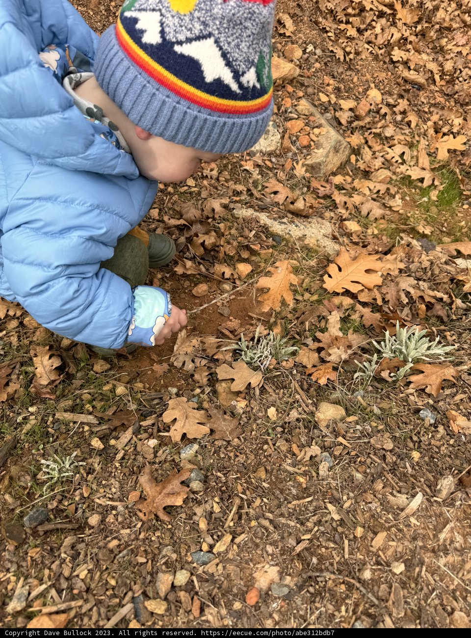 Little Explorer's Winter Adventure.
