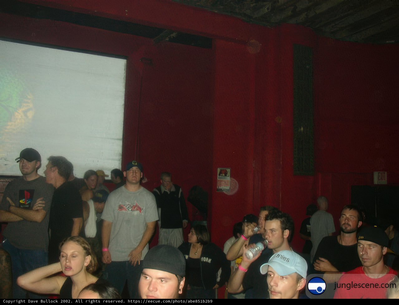 Nightclub Audience Watching a Screen
