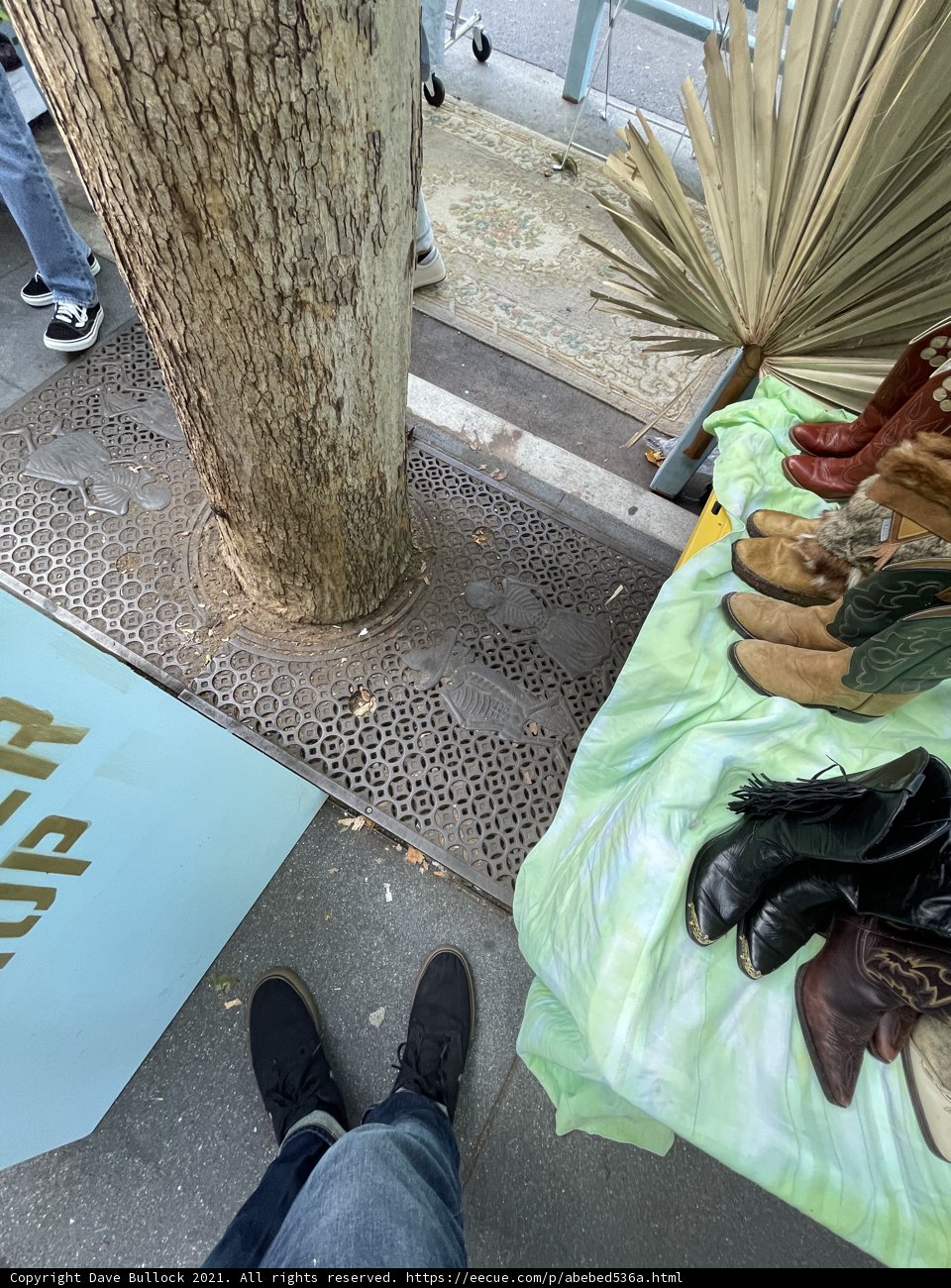 Tree, Shoes, and a City Stroll