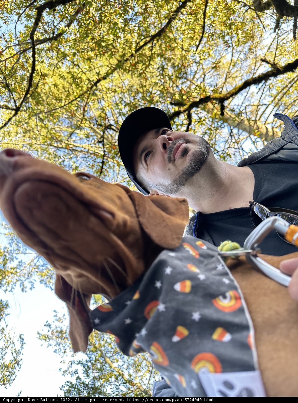 Dave and His Spooky Companion