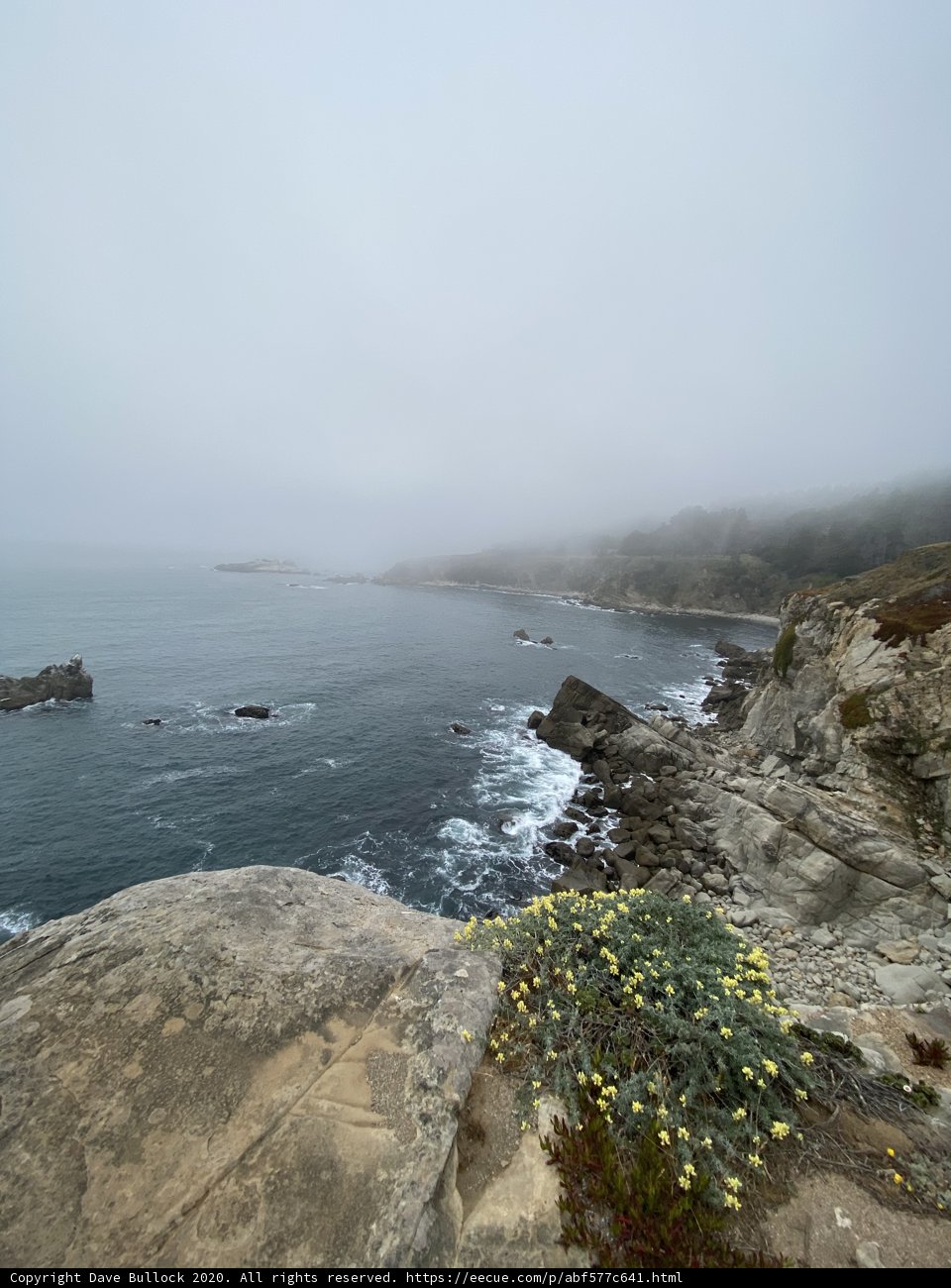 Foggy Promontory