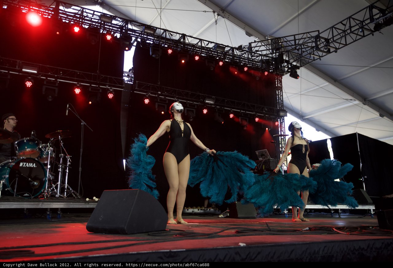 Feathered Performer on Stage