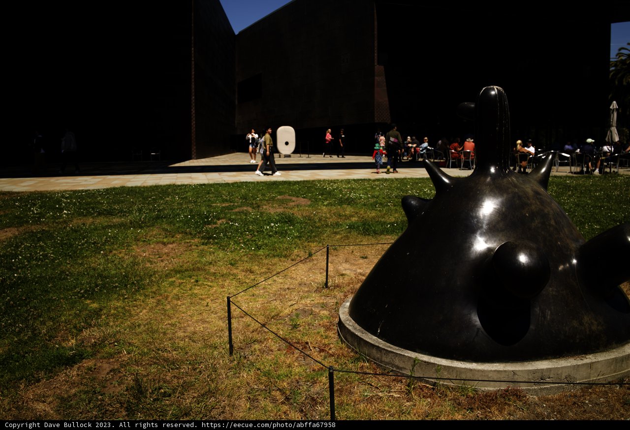 Monochrome Beast of the de Young - A Sculptural Wonder