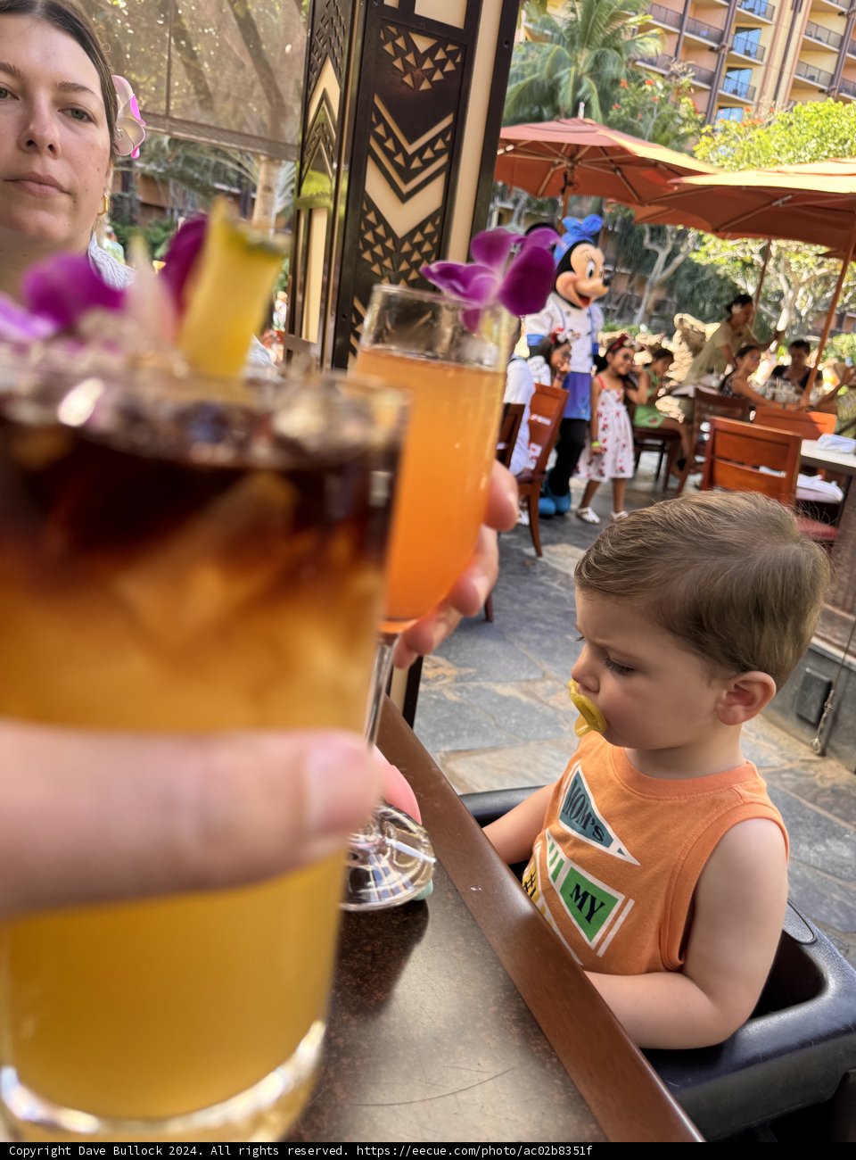 Cheers to Magical Moments