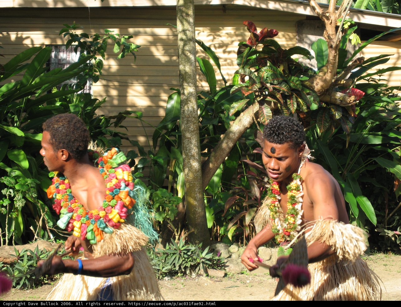 Island Dancing Duo