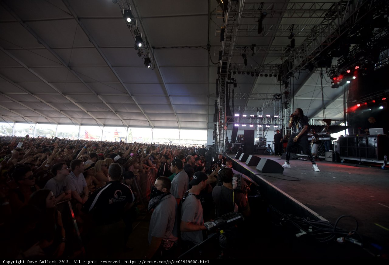 Concert Crowd Joined in Celebration