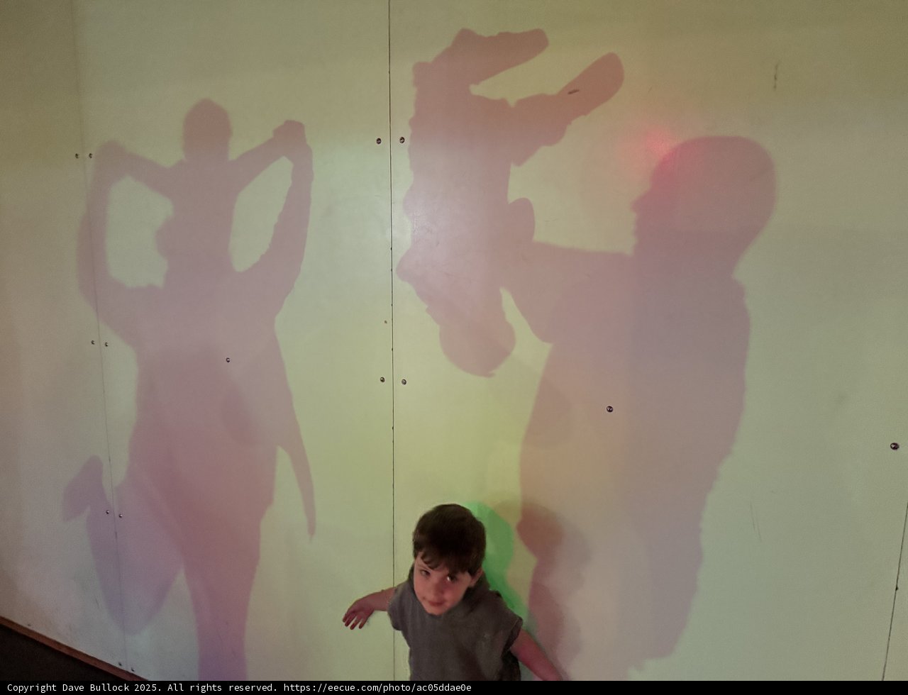 Shadow Play at Pier 15