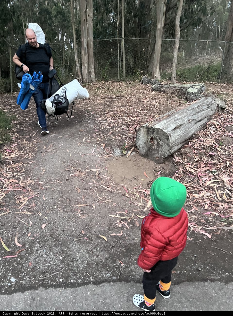 Whispers from Nature - A Day in Presidio