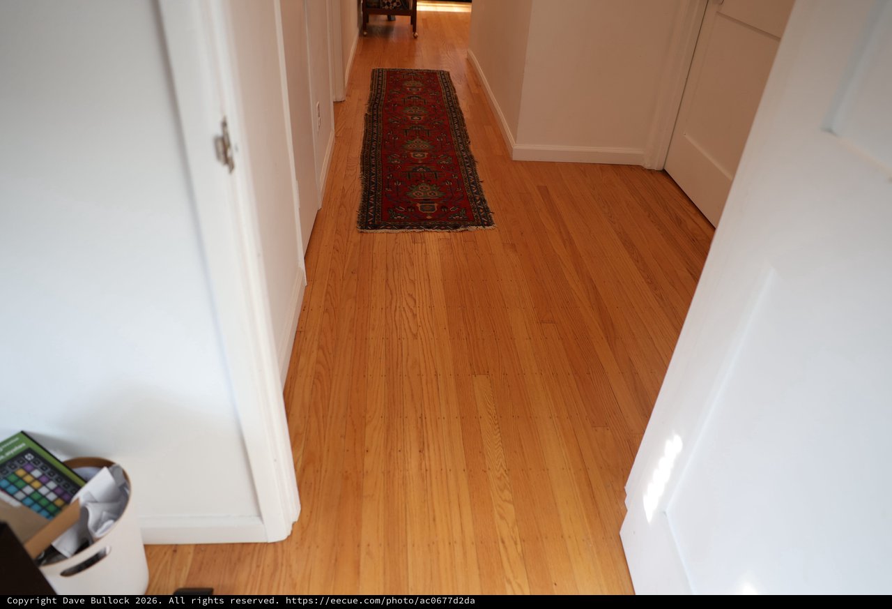Clean Hallway with Oriental Runner Rug