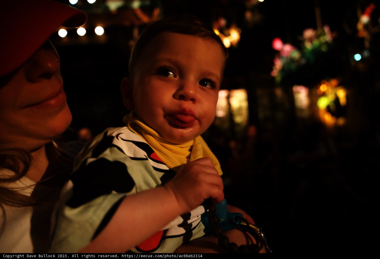 Magical Moments at Disneyland